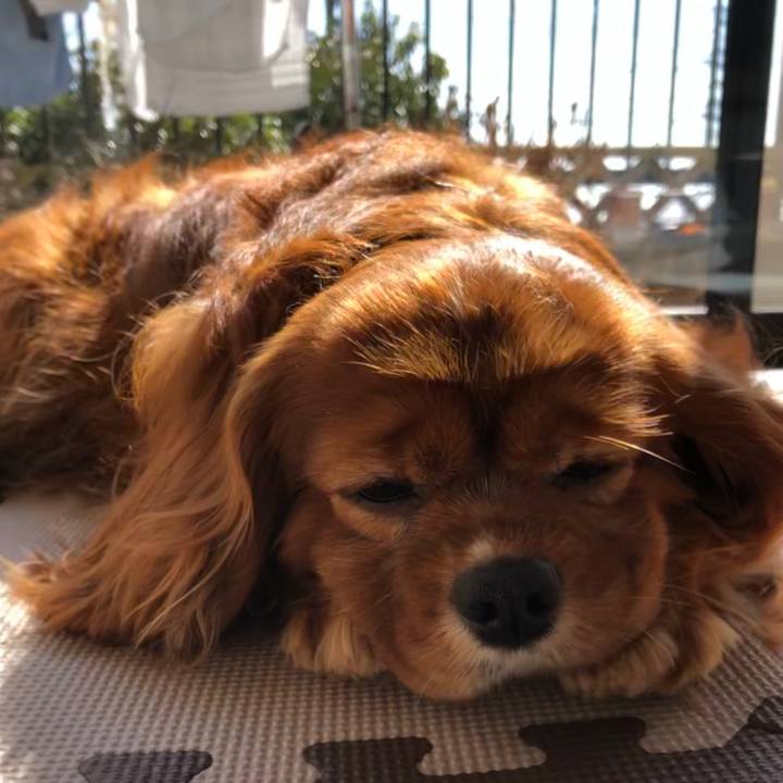 572f2be1 4f94 439e 8f6e d757dc4e5403 1644637891223