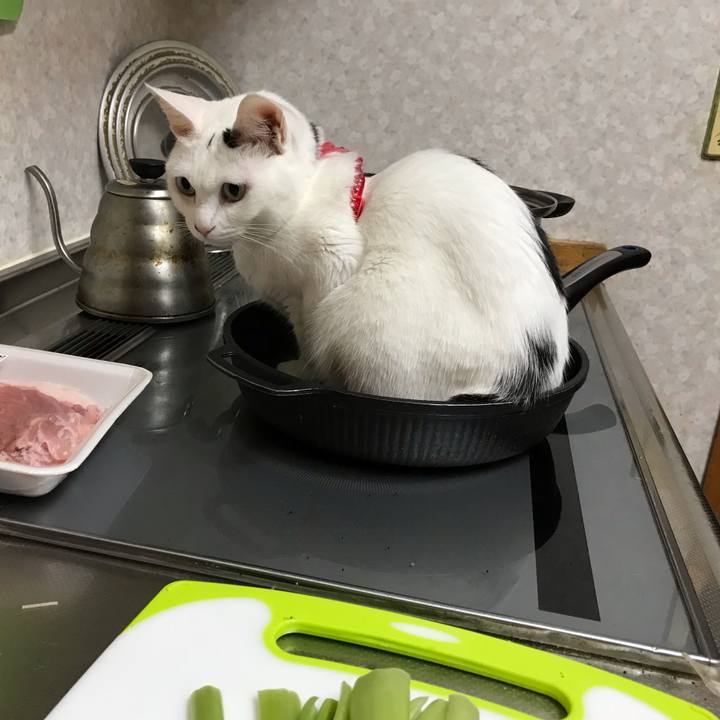 572f31cf 2dd8 464d b79e 8a1bfcf8136f 1559040454724