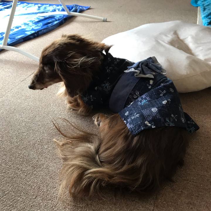 572f447e ed10 4503 ac23 b7b749021b73 1590393704188