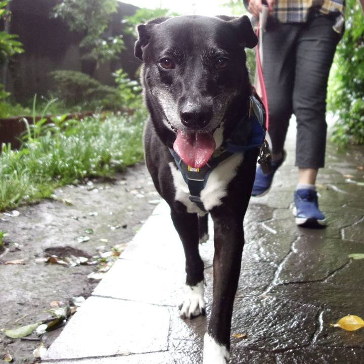 572f542c f2f9 47c8 9cd3 6a83245f3c41 1723074189127