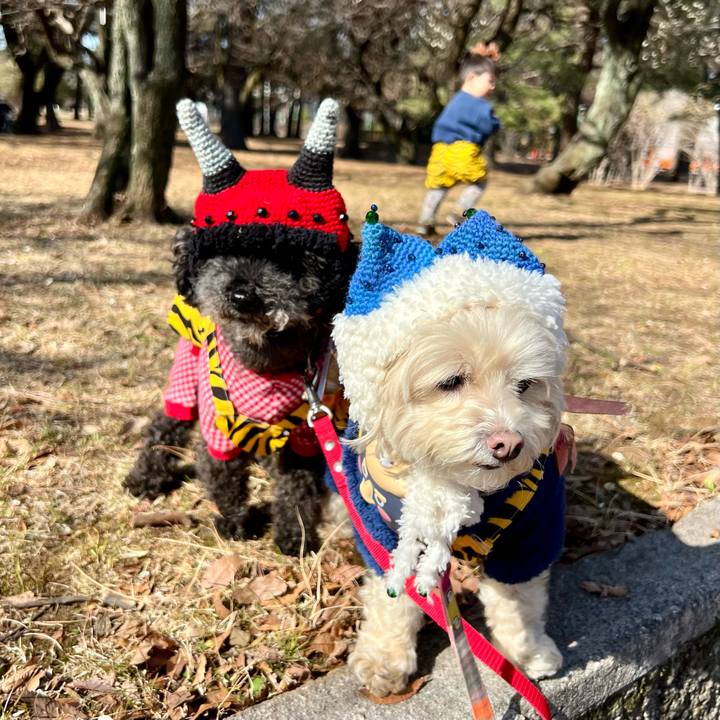 572f84b1 0d83 4a29 bb1b 90ea4c83f8d6 1770093869956