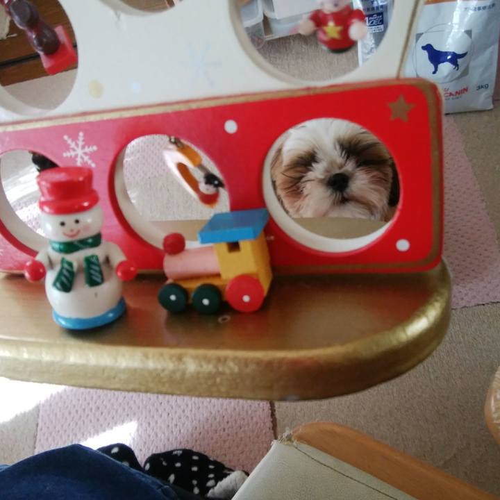 572fa80a 9442 4f2b b4ee a17ed0d06456 1545744628782