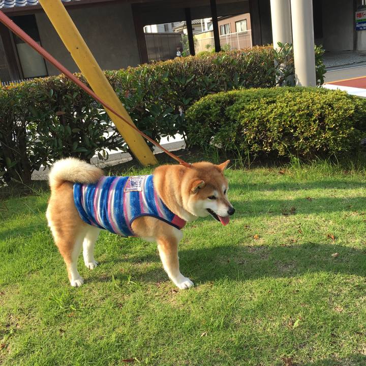 572ff657 ca58 403d 92ed 2a49eddad459 1564527483888