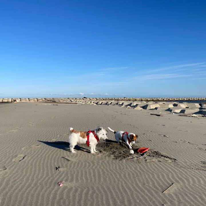 57305829 d9e5 41f8 b8f6 2ca72483d1d0 1666309155288