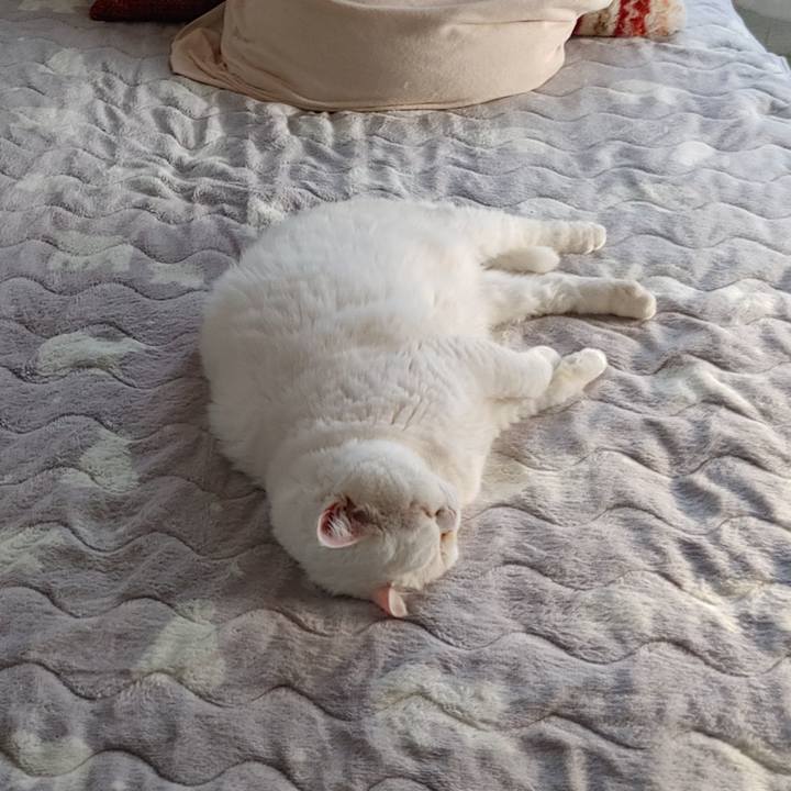 57306ae4 36ba 4d13 bab0 a65181e6e828 1735972411957