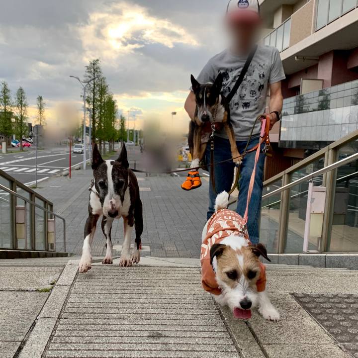 5730bbd0 c556 4435 882d 7d05a8a07daa 1619953610886