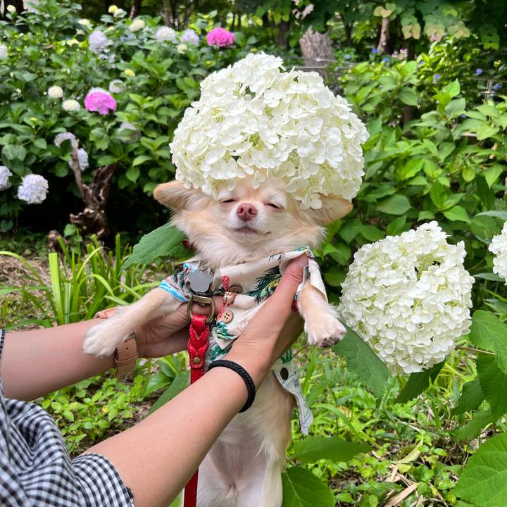 5730d464 9c2a 4cb9 8ba3 74a00bd21156 1655353220908