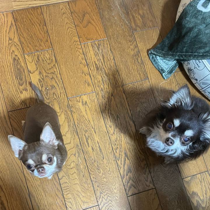 5730de84 2f64 48a1 8220 37b476689cd4 1647172826754