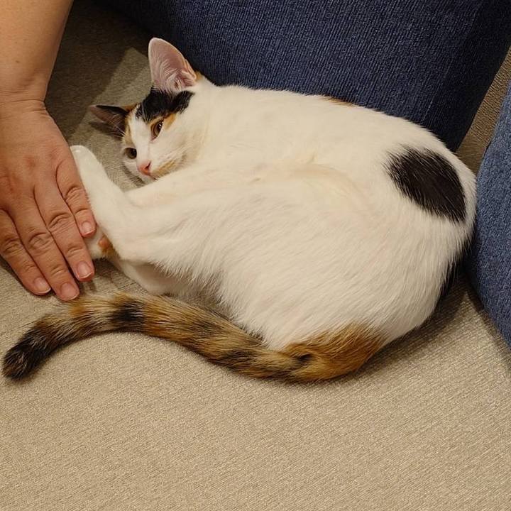 5730dfe8 acc0 4491 b99e bc6df75fcb5e 1764164441060