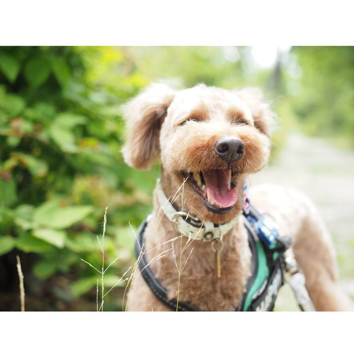 5730e5fe 5c3b 4e1a 9a2a 323a39d54686 1561417107480