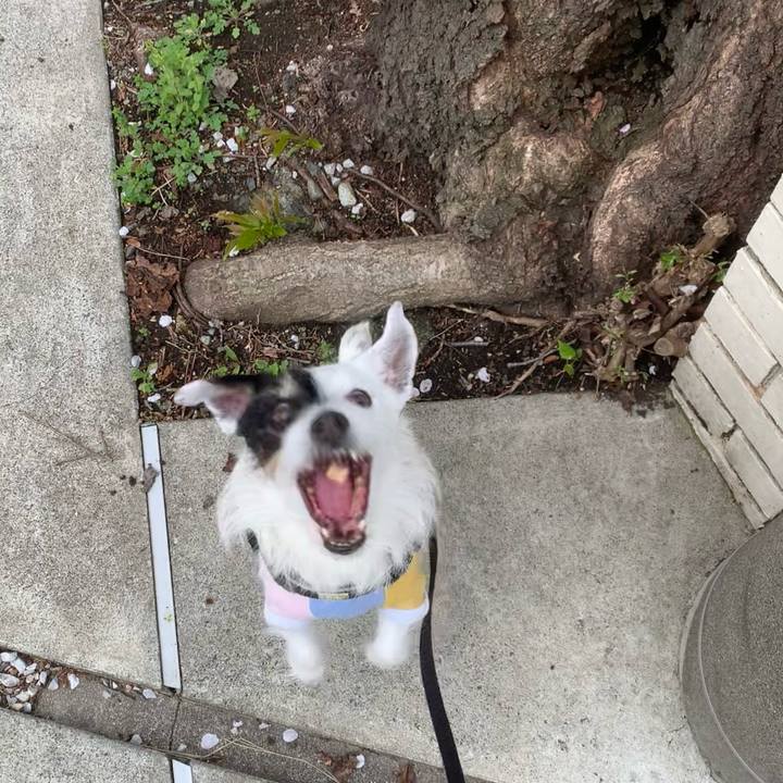 57310d9c 4fe0 40d0 b92e 5b5b2dea1bf2 1743379150788