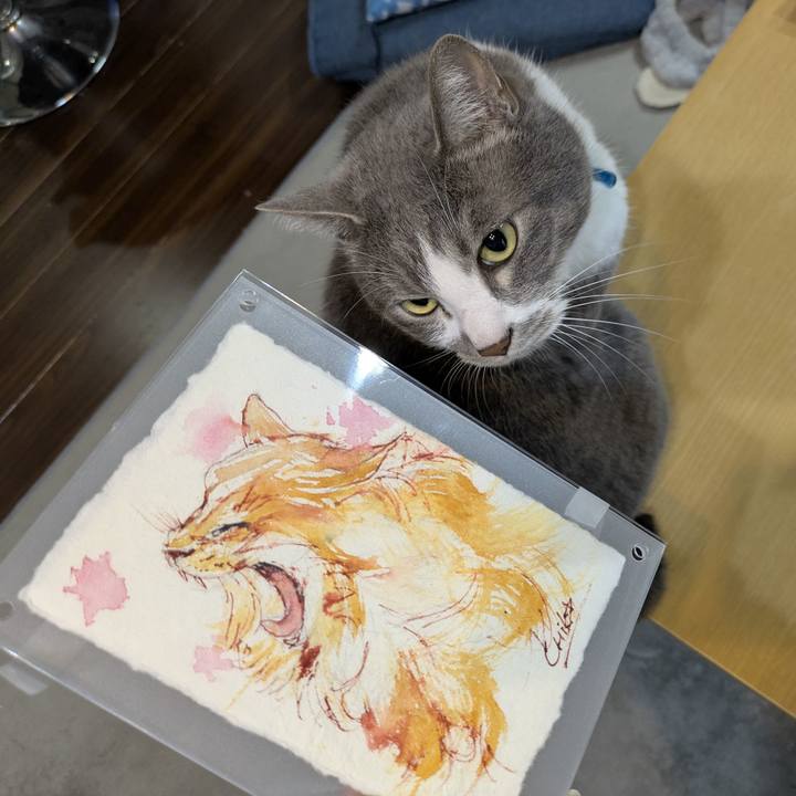 5731411d b4de 423e a848 f8cbd9139cc4 1748684141026