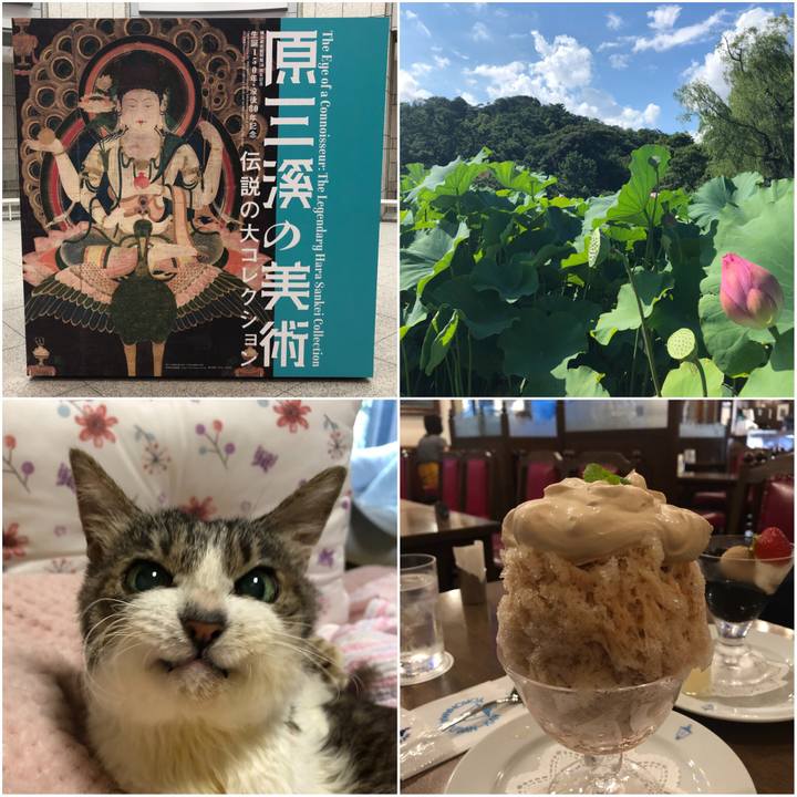 573141a5 e75c 4a80 b59e 2fd103e4abbe 1566121704557