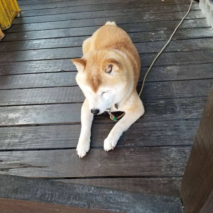 57317343 f437 436f 82b1 13fbdc58c1b7 1717491688237