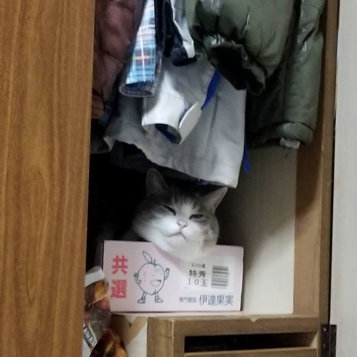 57317504 63a7 4d9d a989 9577b2683126 1567693605086