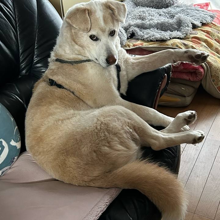 5731b9f0 97cb 4137 a966 1d40f75d59d4 1702682031812