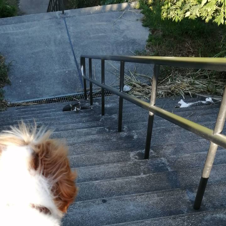 5731cb98 e6fc 4a50 b735 0d793de6e3c4 1568030804374