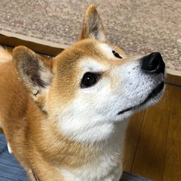 5731e5af 8ddf 4d59 92ab 5fc0f2b8d75b 1562492341180