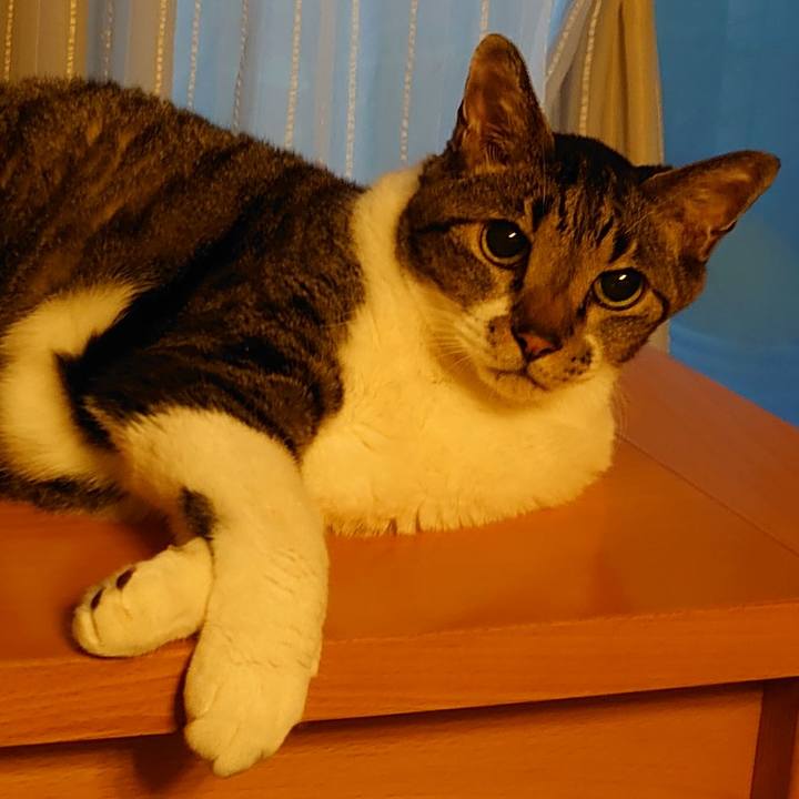 5731f769 3d11 4c5d 93a1 6d10d14b5d5b 1727943614779