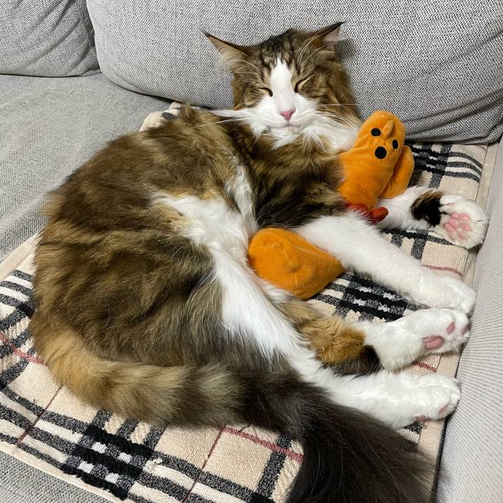 5731fed0 7a11 487a 9d88 3c2ec30926b7 1664881422480