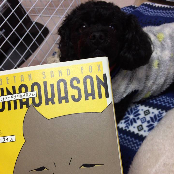 573233f4 c713 4c51 b811 cb514c5f2c30 1521180786691