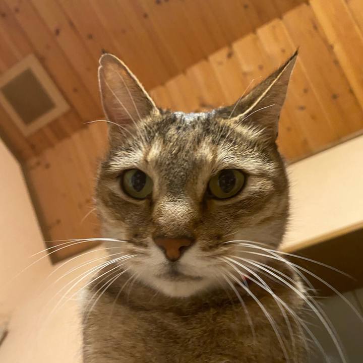 573257d8 56e9 4a24 924c 0e74b05862e0 1670015744747