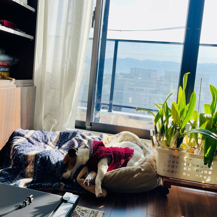 57327b87 c56a 42ca b1a8 2b4005f1dfb0 1739319895278