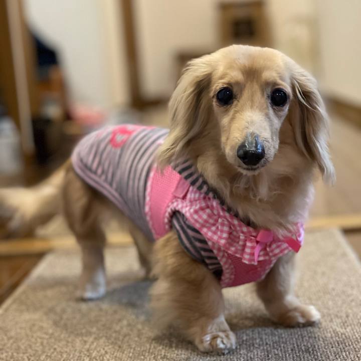 5732b21e 6776 4a86 a30b 1e010aade5f9 1759838368643