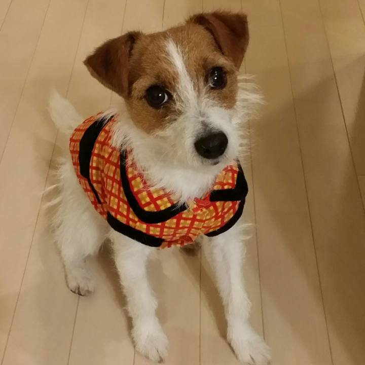 5732c739 c59c 4d5b bd16 155bb204e55a 1513328734741