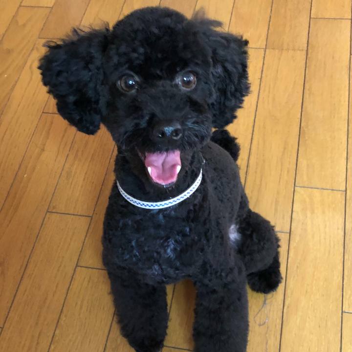 573301a6 80d5 4644 91a3 da880abcac4c 1538794351955