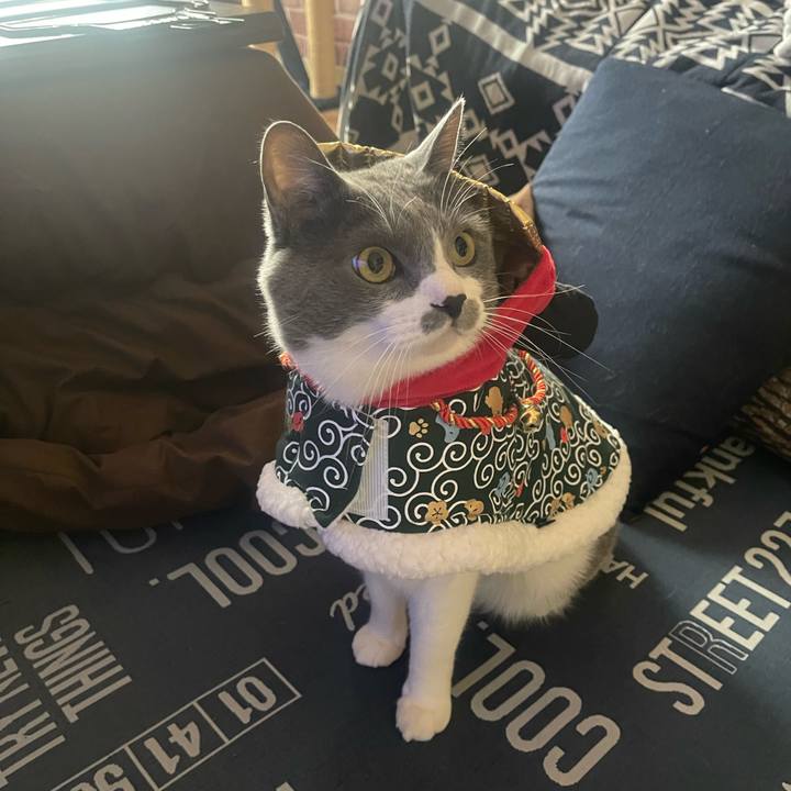 57330965 1ecb 4821 ad60 357d198fdf74 1704081814600