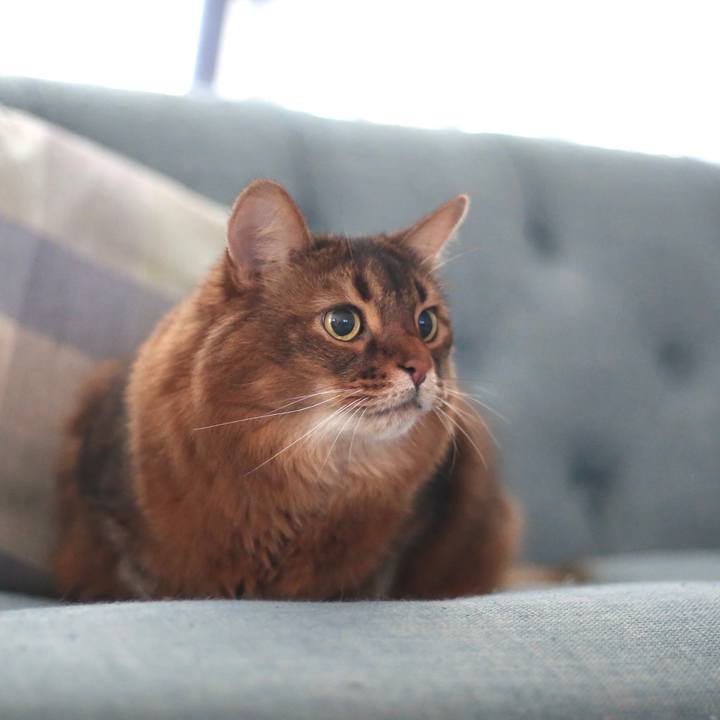 57335e80 fed6 436e a40b 628bc2052682 1669779086178