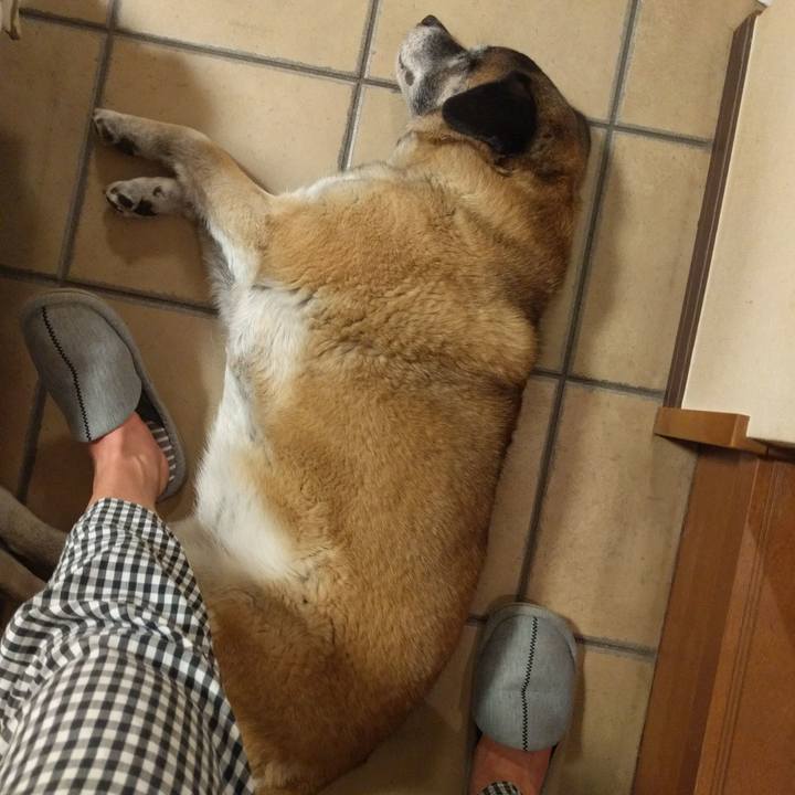 57338459 0b01 4722 a314 a82c25568bfa 1728529262758