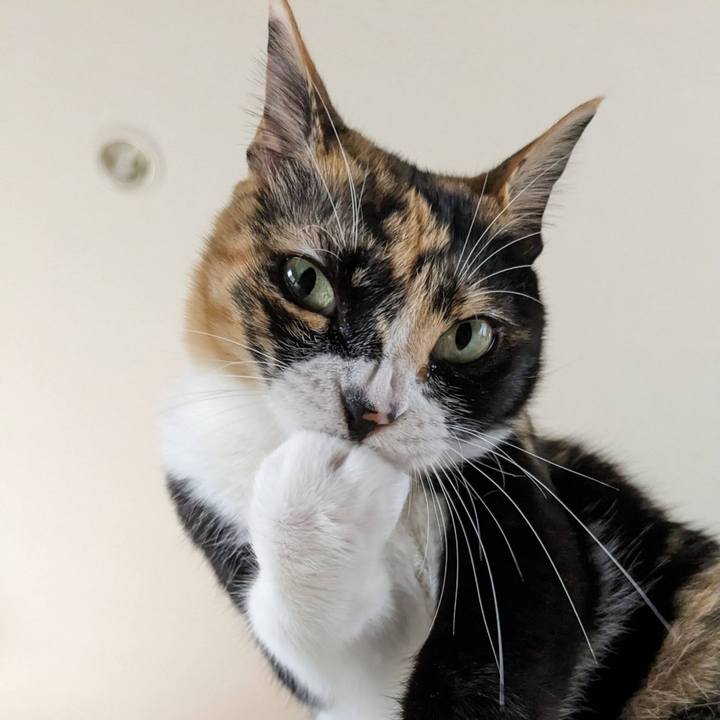 57339a57 f2c5 49d1 925f f0daffadabab 1686283114492