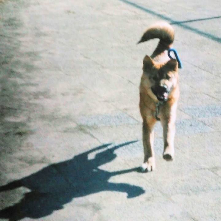 5733a2fc 5039 423b a245 d61d9ccda4b0 1691894243094