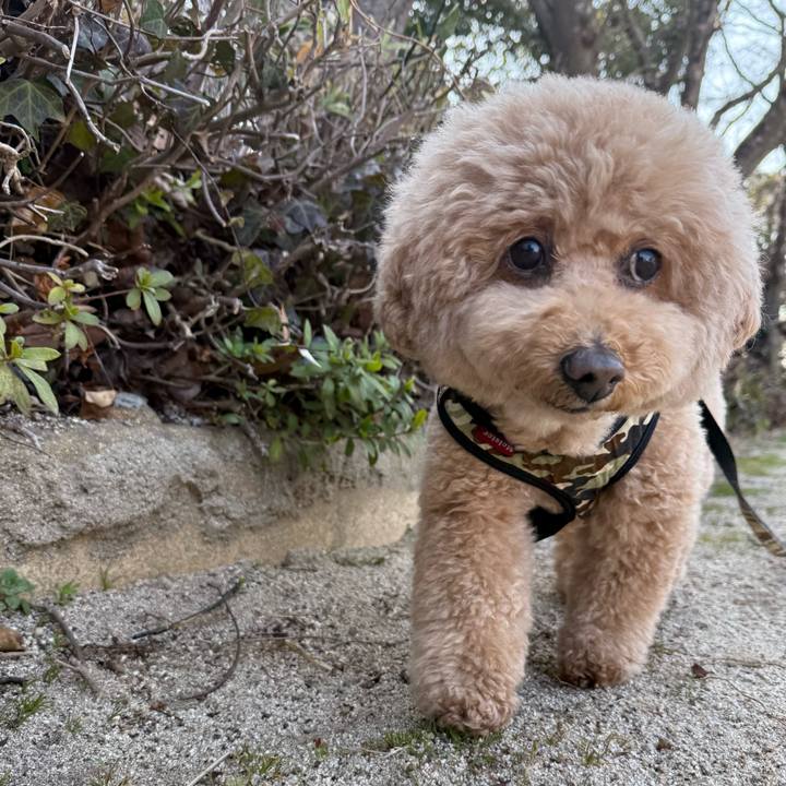 5733c3d3 be26 4dd3 b606 66a495c8bbd0 1771803794151