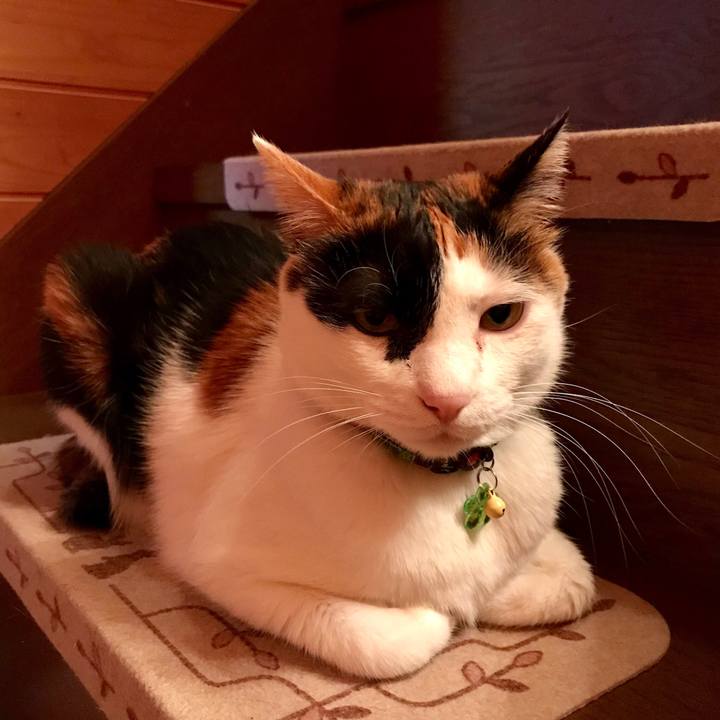 5734031e e6ed 4557 9871 ff78e0ccd0f1 1523449538436