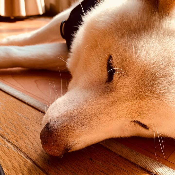 57340846 8b6e 4ce1 8113 79fbb0d06e51 1646975606989