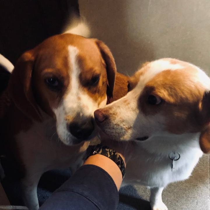 57341862 aa0f 4774 9101 c7c6badd4c45 1619848183942