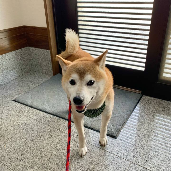 573419cb 31ba 409c 97db cd8480d028f5 1689843438753