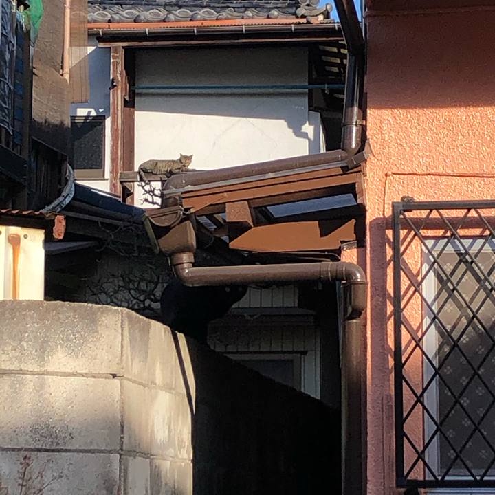 57346008 1e79 4705 920d fcc588bfee50 1609366566687