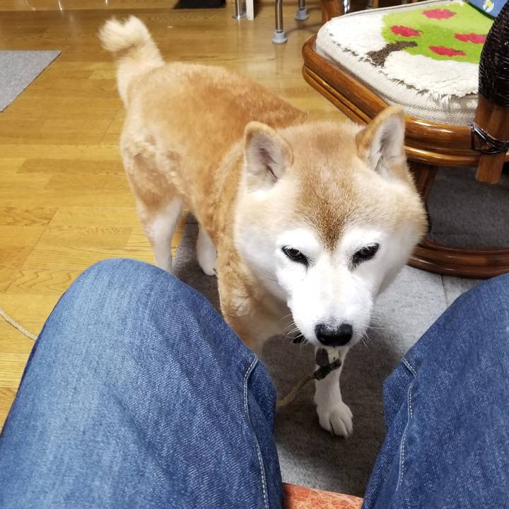 57346265 7645 4acd 8cdf 55b9ed149c6c 1700453018580