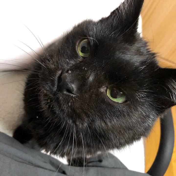 5734ba11 9046 4917 b218 c82e6353c1c9 1607515790107