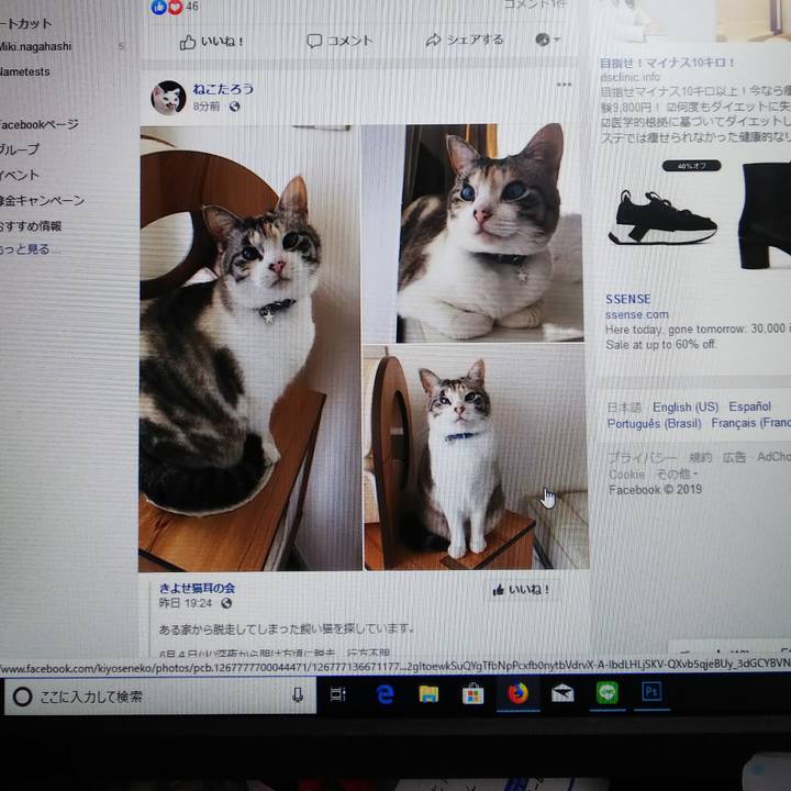 5734f9dc ed42 4ea4 8899 989acc5cac2c 1560080188329