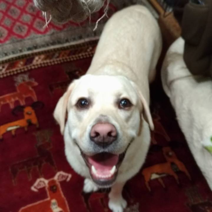 5734ffb5 e231 4711 b91c 73f4fe4f7df9 1540374291500