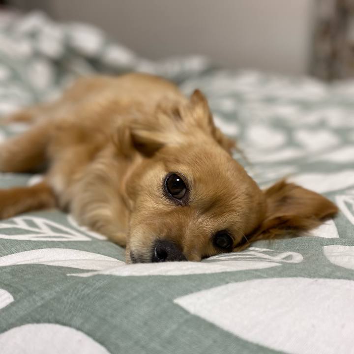 5735088a 8e66 4cd3 9b87 8bb5e6f9f7c8 1618751997390