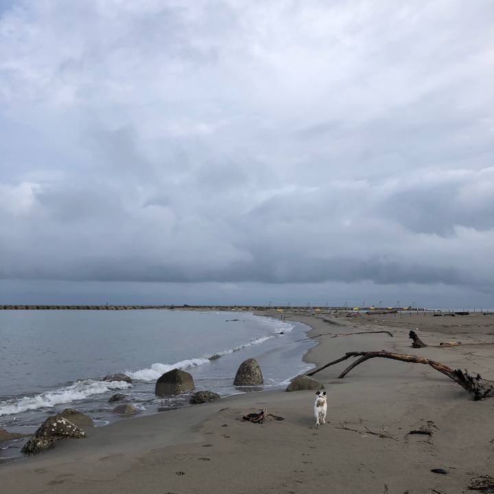 573549ff a7e0 41c3 9bc3 ed64d8afda20 1599174317367