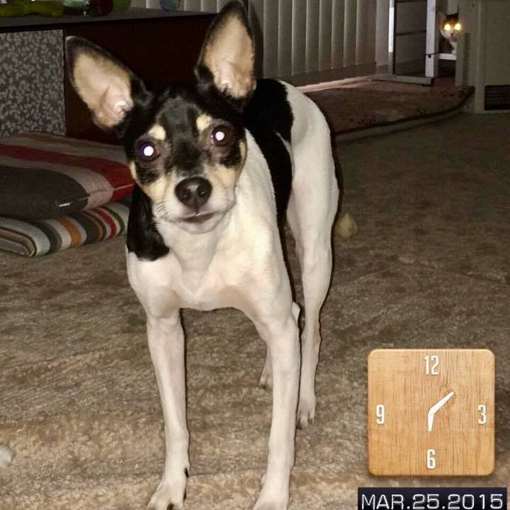 57354fad c0fd 4d85 ab95 fca1c27afdd5 1711370107457