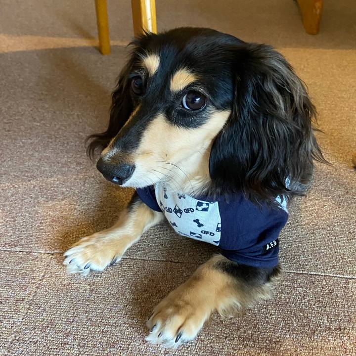 57355923 9f21 40b1 bc56 ec4bf3c16309 1686806130698