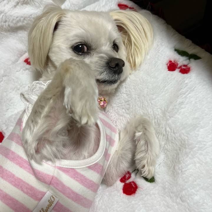 57356cf3 a296 402a b803 57c762eeaaf6 1679226023346